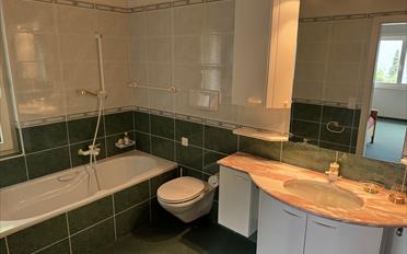 Single house 20.5 rooms - image - 12