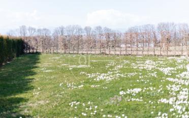 Appartement 5 pièces - image - 8