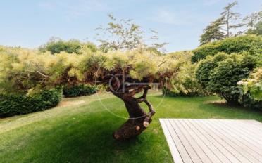 Maison contiguë 6 pièces - image - 1