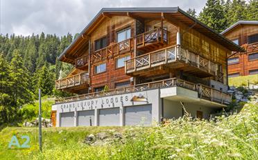 Chalet 5.5 pièces - image - 1