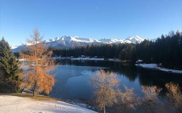 Appartement 4.5 pièces - image - 11