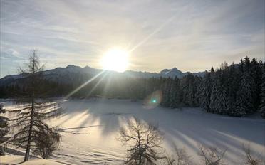 Appartement 4.5 pièces - image - 10