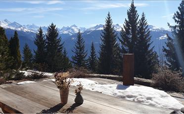 Chalet 6.5 pièces - image - 5