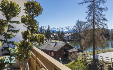 Apartment 4.5 rooms - image - 11