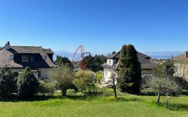 Villa 6.5 Zimmer - image - 7