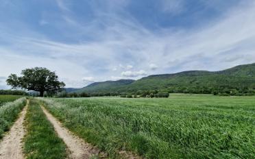 Single house 8.5 rooms - image - 6