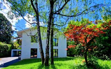 Villa 9 Zimmer - image - 10
