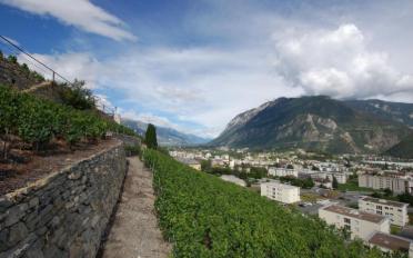 Appartement 4.5 pièces - image - 2