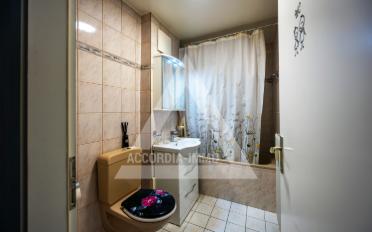 Terrace flat 2.5 rooms - image - 7