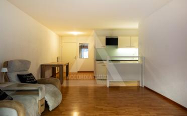 Terrace flat 2.5 rooms - image - 4