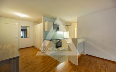 Terrace flat 2.5 rooms - image - 3