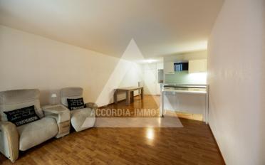 Terrace flat 2.5 rooms - image - 2