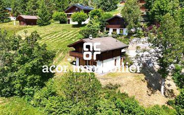 Chalet 3.5 pièces - image - 1