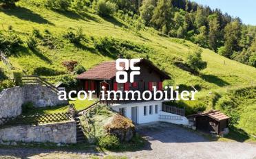 Chalet 4.5 Zimmer - image - 1