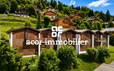 Chalet 3.5 Zimmer - image - 1