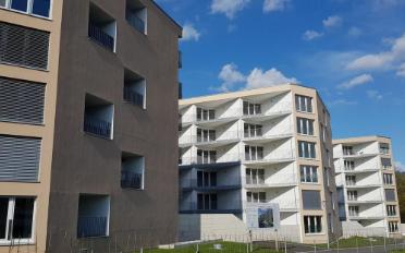 Wohnung 2.5 Zimmer - image - 6
