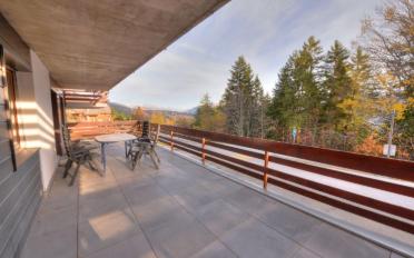 Wohnung 3.5 Zimmer - image - 7