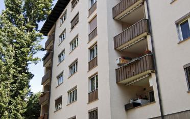 Wohnung 3 Zimmer - image - 5