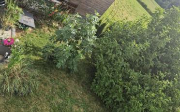 Single house - image - 10