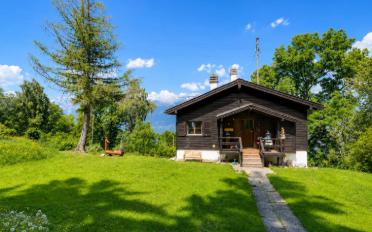 Chalet 4.5 Zimmer - image - 11