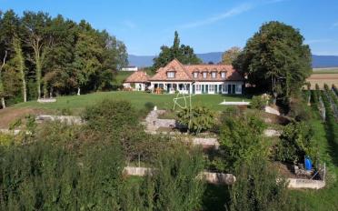 Single house 11 rooms - image - 1