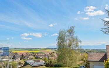 Villa 6 Zimmer - image - 4