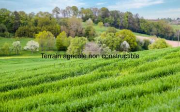 Terrain à bâtir - image - 1