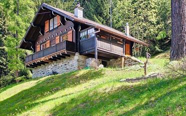Chalet 3.5 pièces - image - 2
