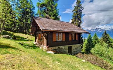 Chalet 3.5 pièces - image - 20