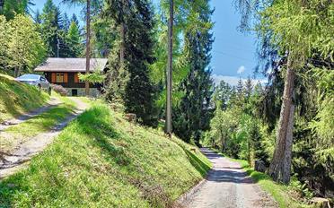 Chalet 3.5 pièces - image - 22