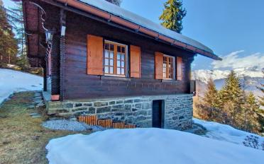 Chalet 3.5 pièces - image - 2