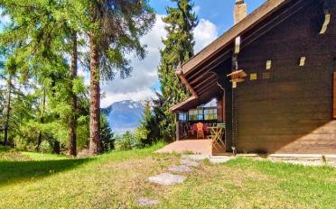 Chalet 3.5 pièces - image - 10