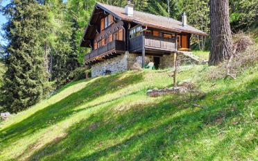 Chalet 3.5 pièces - image - 29