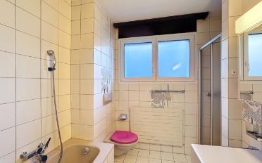 Attic flat 7.5 rooms - image - 13