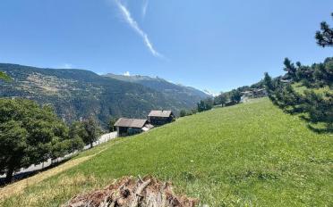 Chalet 4.5 Zimmer - image - 17
