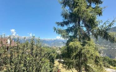 Chalet 4.5 Zimmer - image - 18