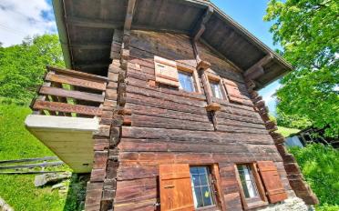 Chalet 3.5 rooms - image - 15