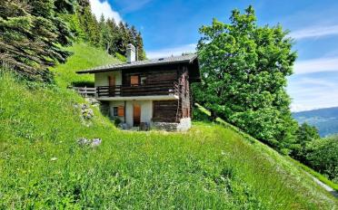 Chalet 3.5 rooms - image - 16