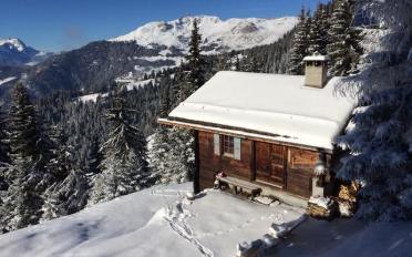 Chalet 3 rooms - image - 1