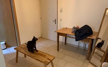 Apartment 3.5 rooms - image - 6