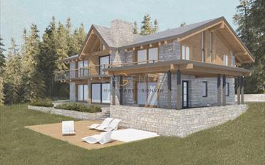 Chalet 9.5 pièces - image - 2