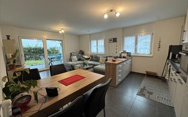 Wohnung 2.5 Zimmer - image - 1