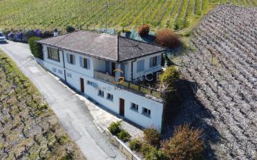 Single house 5.5 rooms - image - 2
