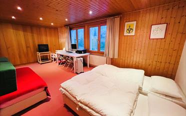 Chalet 11.5 pièces - image - 10