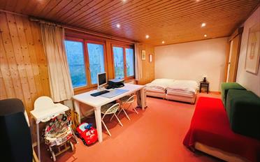 Chalet 11.5 pièces - image - 11