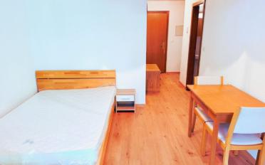 Studio 1.5 rooms - image - 3