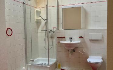 Apartment 1 room - image - 7