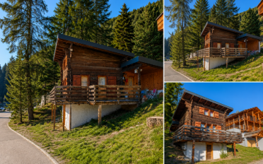 Chalet 1.5 Zimmer - image - 1