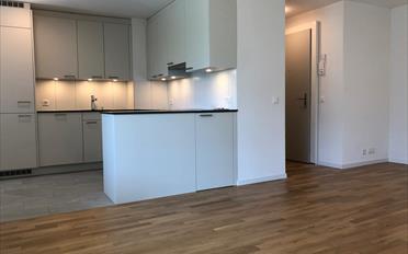 Wohnung 2.5 Zimmer - image - 2