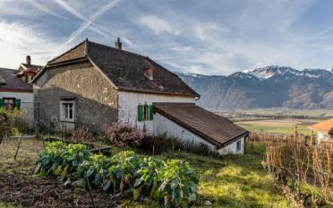 Einfamilienhaus 3.5 Zimmer - image - 1